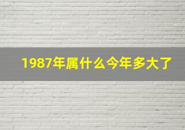 1987年属什么今年多大了