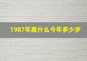 1987年属什么今年多少岁