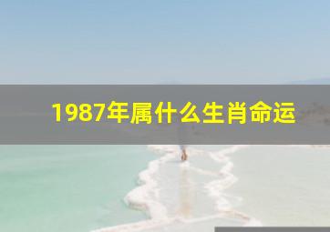 1987年属什么生肖命运