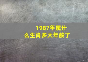 1987年属什么生肖多大年龄了