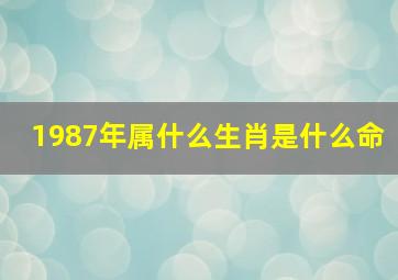 1987年属什么生肖是什么命