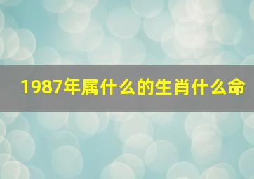 1987年属什么的生肖什么命