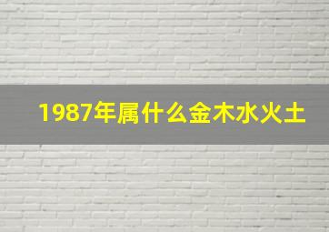 1987年属什么金木水火土