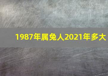 1987年属兔人2021年多大