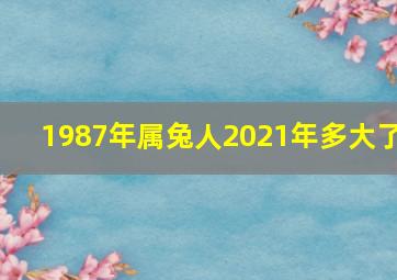 1987年属兔人2021年多大了