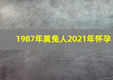 1987年属兔人2021年怀孕