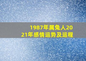 1987年属兔人2021年感情运势及运程