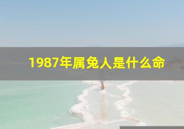 1987年属兔人是什么命