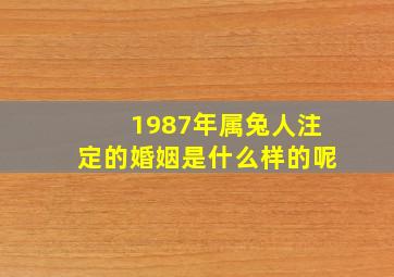 1987年属兔人注定的婚姻是什么样的呢