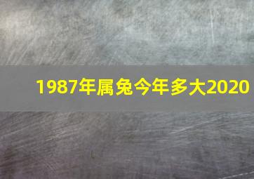 1987年属兔今年多大2020