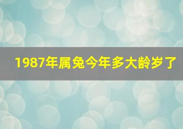 1987年属兔今年多大龄岁了