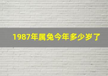 1987年属兔今年多少岁了