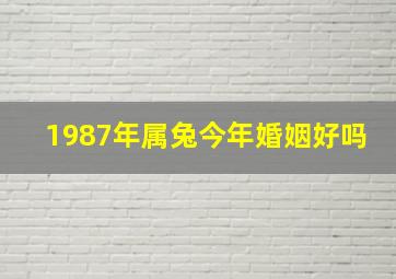 1987年属兔今年婚姻好吗