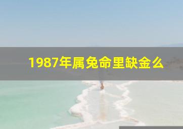 1987年属兔命里缺金么