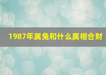 1987年属兔和什么属相合财