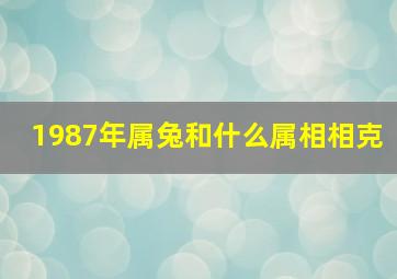 1987年属兔和什么属相相克