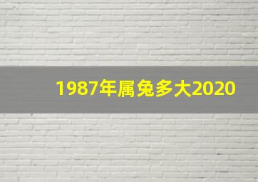 1987年属兔多大2020