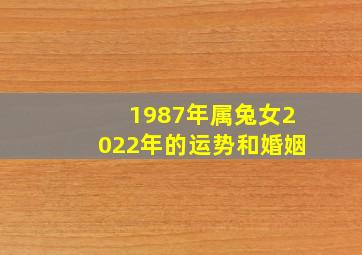 1987年属兔女2022年的运势和婚姻