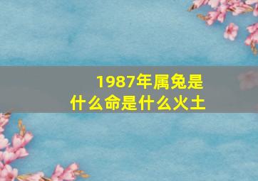 1987年属兔是什么命是什么火土