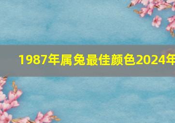 1987年属兔最佳颜色2024年