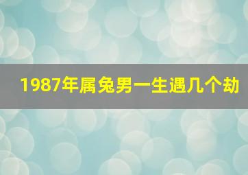 1987年属兔男一生遇几个劫