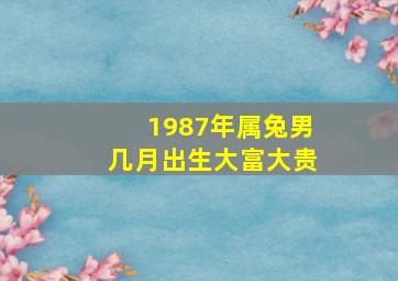 1987年属兔男几月出生大富大贵