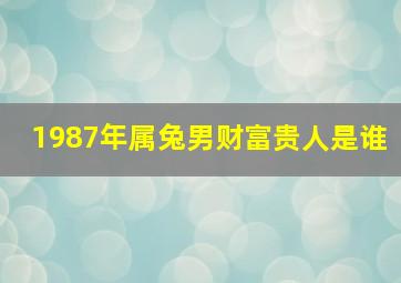 1987年属兔男财富贵人是谁