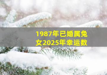 1987年已婚属兔女2025年幸运数