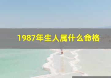 1987年生人属什么命格