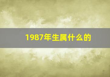 1987年生属什么的