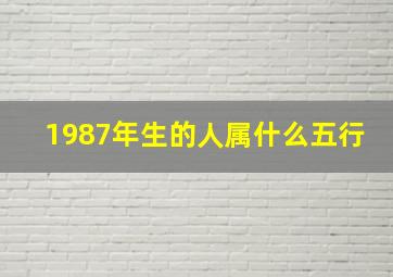 1987年生的人属什么五行