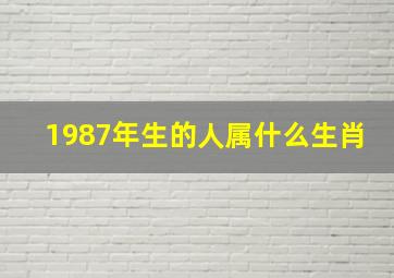 1987年生的人属什么生肖