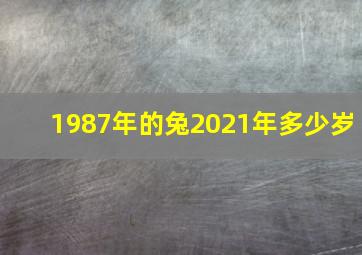 1987年的兔2021年多少岁