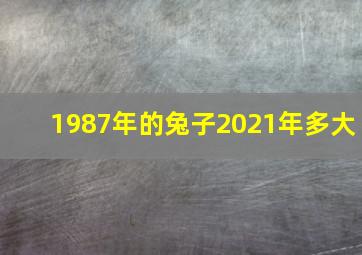 1987年的兔子2021年多大