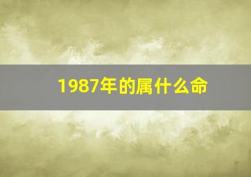 1987年的属什么命