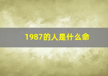 1987的人是什么命