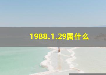 1988.1.29属什么