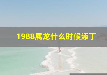 1988属龙什么时候添丁