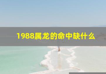 1988属龙的命中缺什么