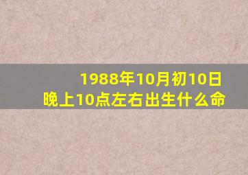 1988年10月初10日晚上10点左右出生什么命