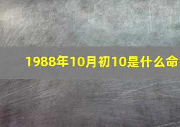 1988年10月初10是什么命