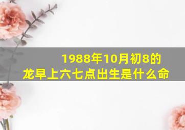 1988年10月初8的龙早上六七点出生是什么命