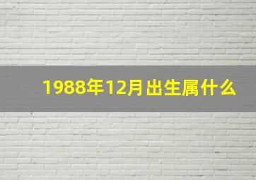 1988年12月出生属什么