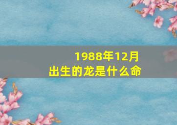 1988年12月出生的龙是什么命