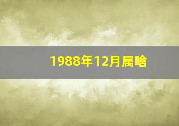 1988年12月属啥