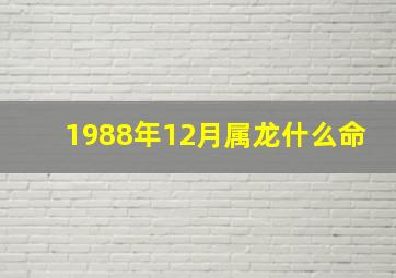 1988年12月属龙什么命