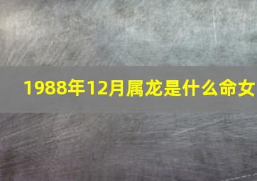 1988年12月属龙是什么命女