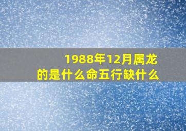 1988年12月属龙的是什么命五行缺什么