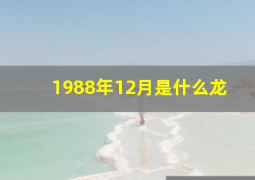 1988年12月是什么龙