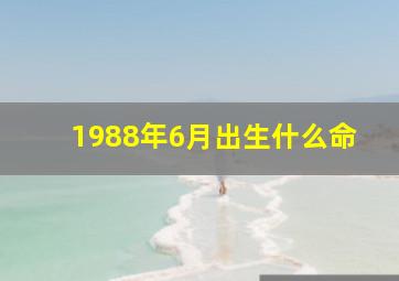 1988年6月出生什么命